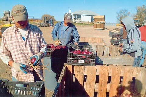 Registran remesas aumento de 5%
