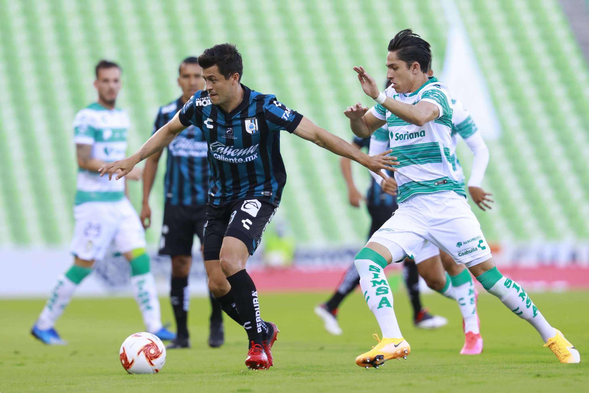 GALLOS BLANCOS PIERDE EN TORREÓN