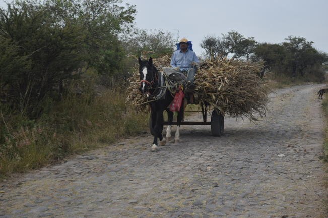 Rehabilitan caminos en ejidos de Pedro Escobedo