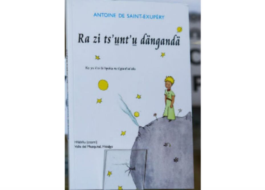 Crearán proyecto de traducción