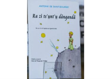 Crearán proyecto de traducción