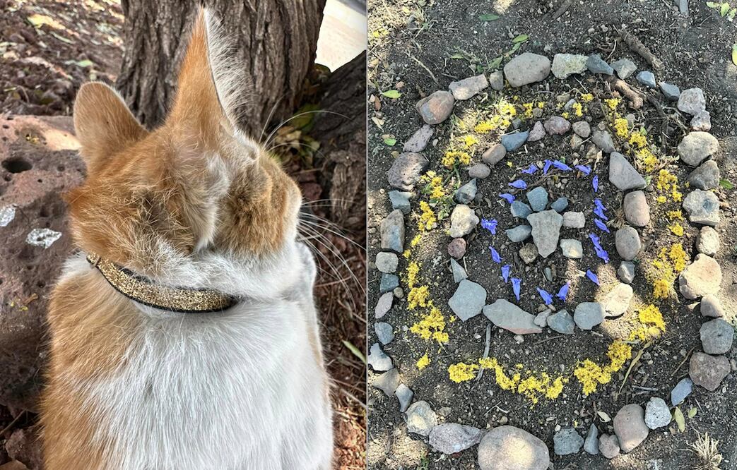 Foto: Facebook Andrea Durazno