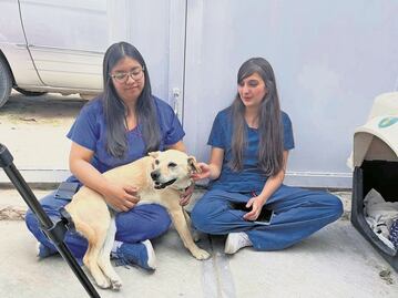 La clínica veterinaria que atiende perritos de la calle; está en Tequisquiapan