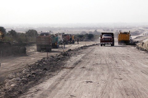 Reforestarán áreas dañadas