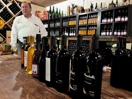 Vendimia 2022. Un viaje por vino artesanal desde 500 pesos a Villa Progreso, el pueblito “italiano” de Querétaro