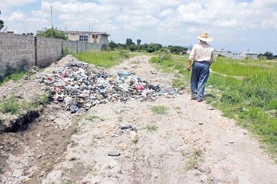 Invaden ratas a tres mil familias de El Marqués