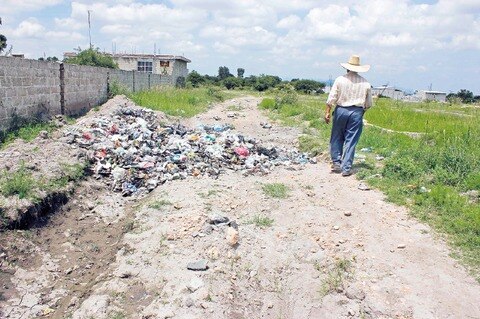 Invaden ratas a tres mil familias de El Marqués