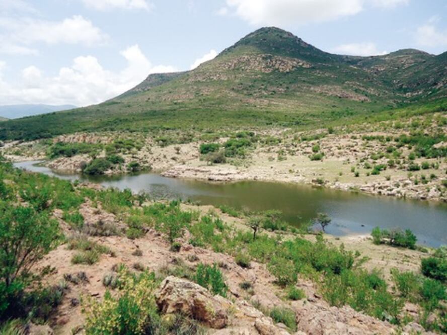 Recargan acuífero alumnos de UAQ