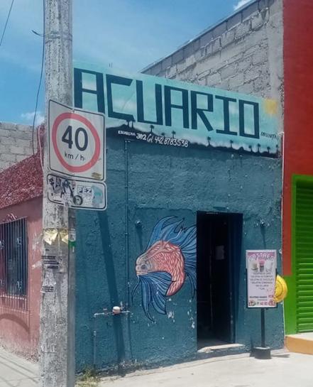 Arman cadena de ayuda para Don Alex, el adulto mayor es dueño de un acuario en Querétaro
