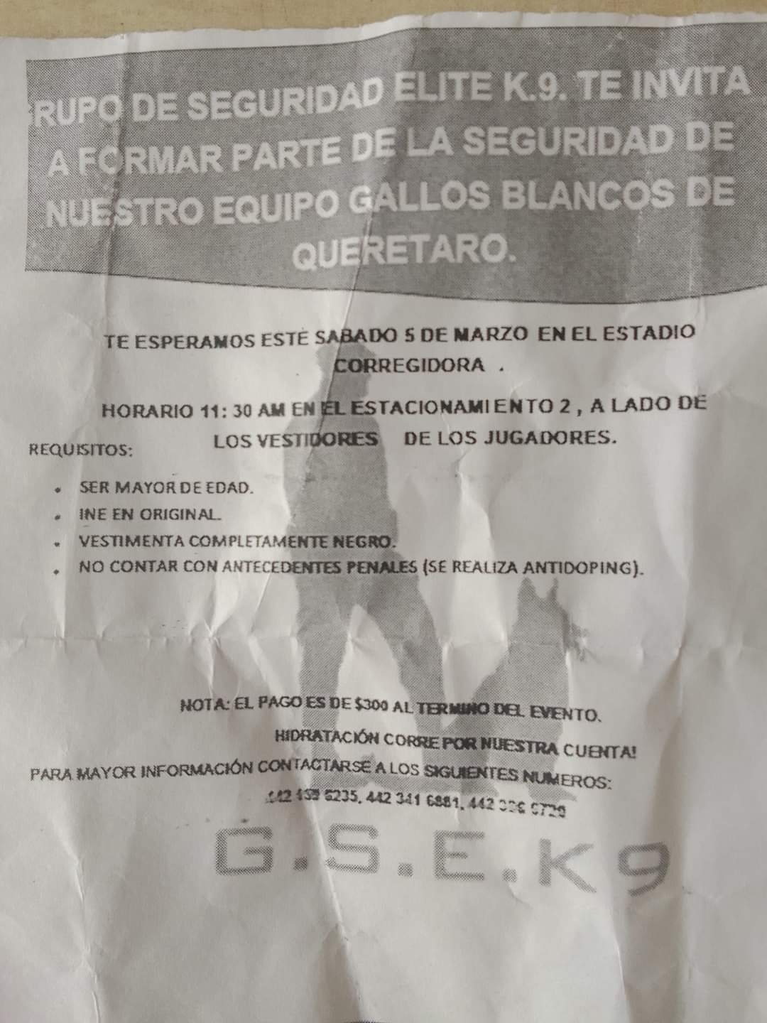 Sin capacitación y con un pago de 300 pesos, así laboran elementos encargados de la seguridad del Corregidora