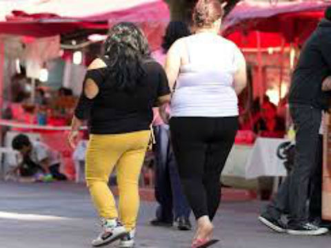 Unen esfuerzos para combatir la obesidad