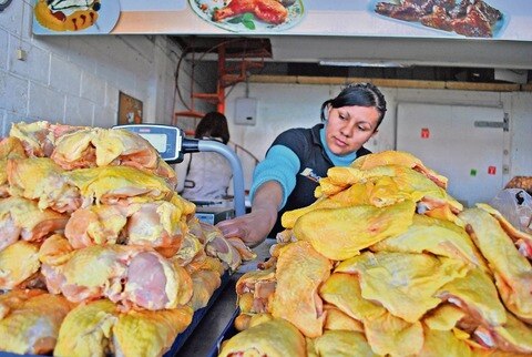 Estrechan cerco por gripe aviar