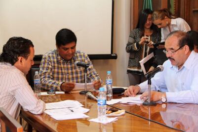 Crean servicio profesional legislativo