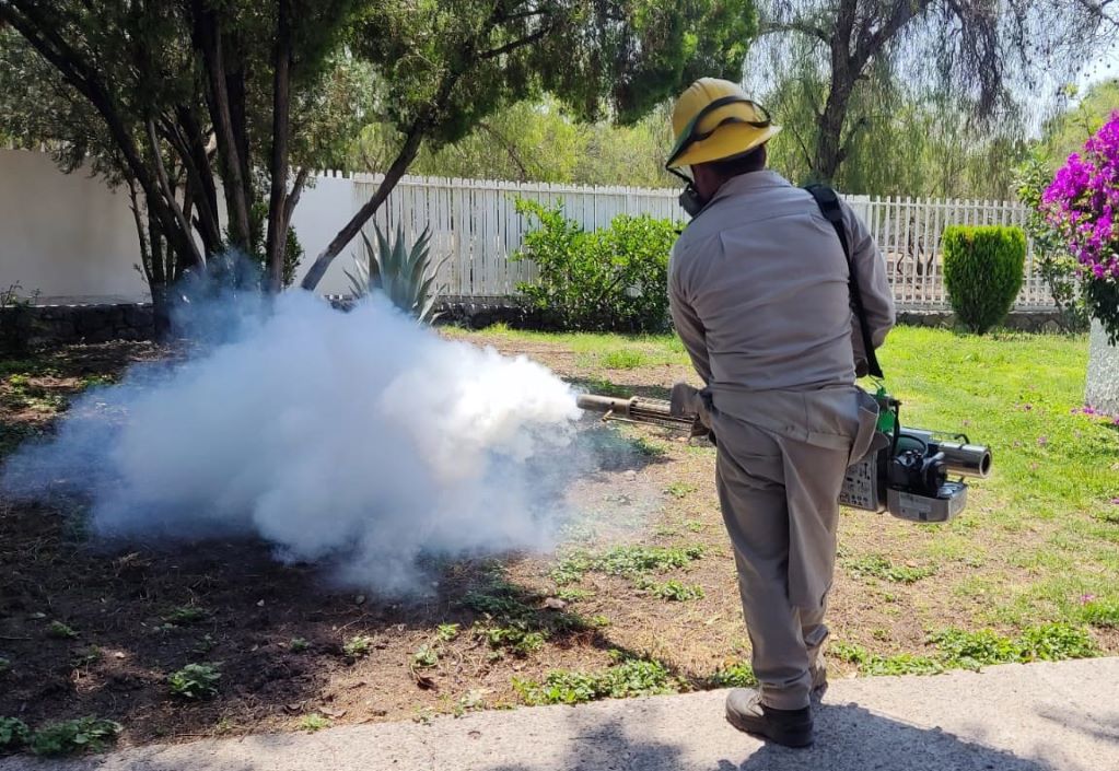 Salud: trabajan brigadas para abatir dengue en Querétaro