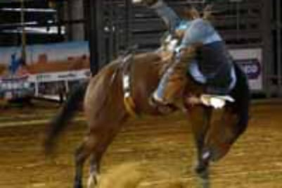 Gran final de Cuernos Chuecos