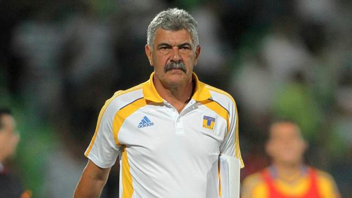 Tigres va por un seleccionado