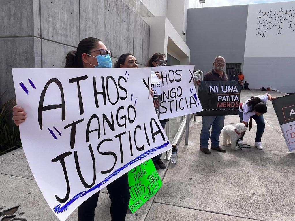 Convocan protesta contra reducción de sentencia al agresor de Athos y Tango