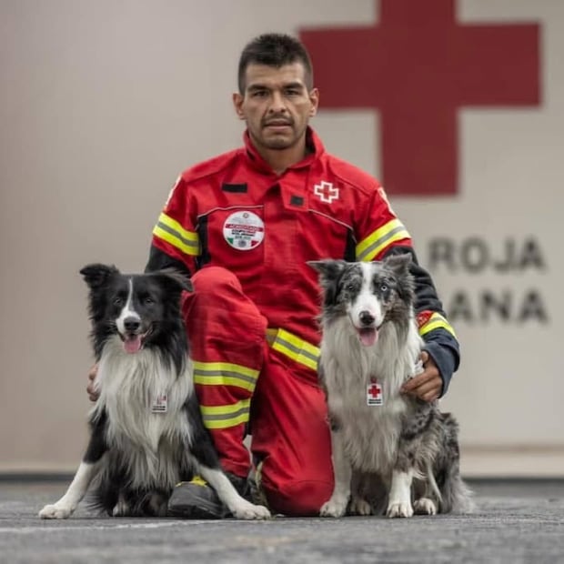 Orly y Balam son perros rescatistas de la Cruz Roja Mexicana entrenados por Edgar Martínez. Foto. Facebook Alma Morell