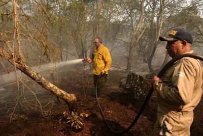 Rendirán homenaje a brigadista