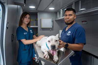 El Marqués realiza la campaña permanente “Esterilización con amor, prevención con responsabilidad”