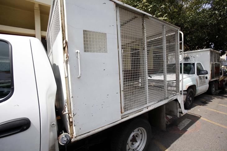 Alertan por campañas de esterilización clandestinas