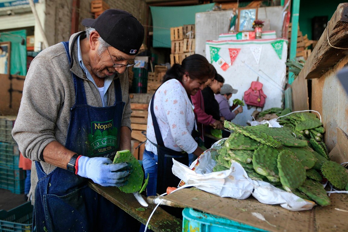 La venta de nopal es continua en el mercado, ya que es un producto que es cotidiano en la gastronomía mexicana (Foto: CÉSAR GÓMEZ)