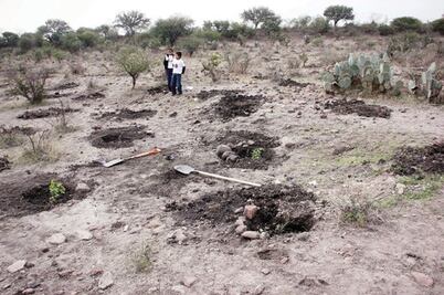 Denuncian saqueo a bosque de Perales