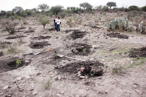 Denuncian saqueo a bosque de Perales