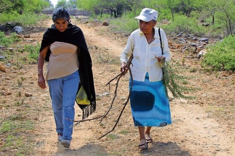Corregidora: al mes, 120 mujeres agredidas