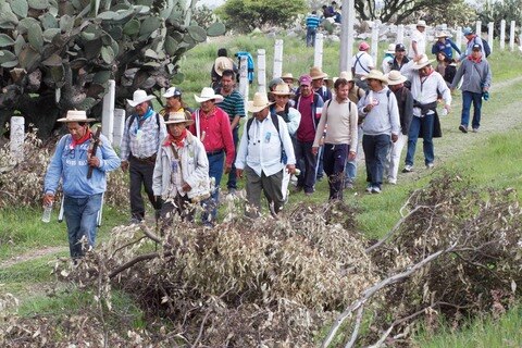 Llegan al Estado de México