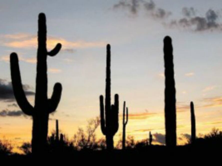 Piden añadir a Corregidora en organismo 