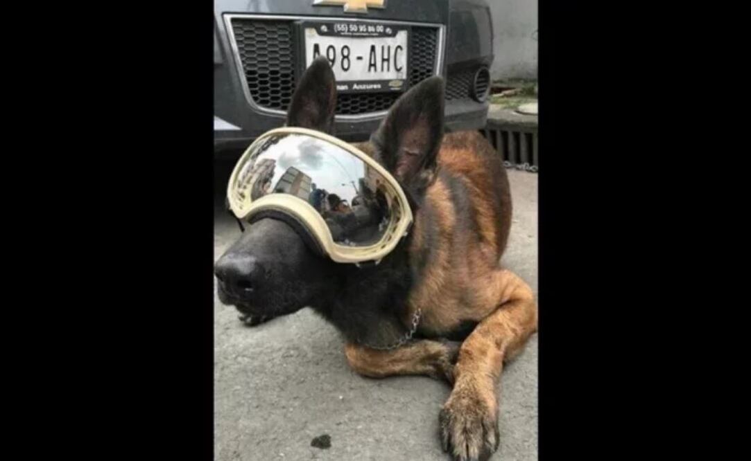 Foto: Tomada de Facebook