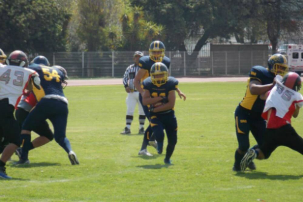 Los felinos siguen invictos