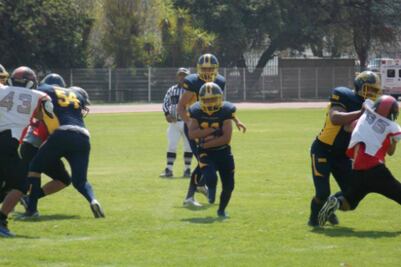 Los felinos siguen invictos