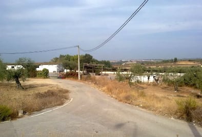 Demanda Estancia mayor vigilancia 