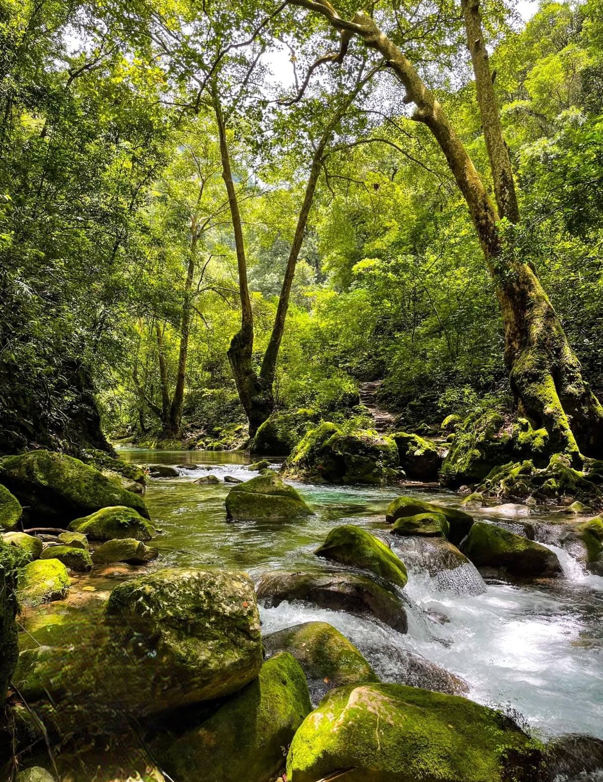 Río Escanela. Foto: Puente de Dios, Río Escanela