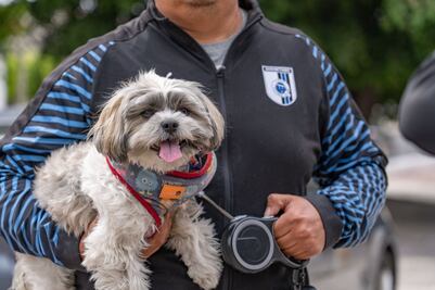 El Marqués certifica a mascotas para la zona pet friendly del estadio Corregidora