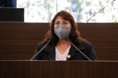 "¿Un joven de 21 años va a poder estar al pendiente de mi Facebook para denunciarme?", pregunta diputada de Morena