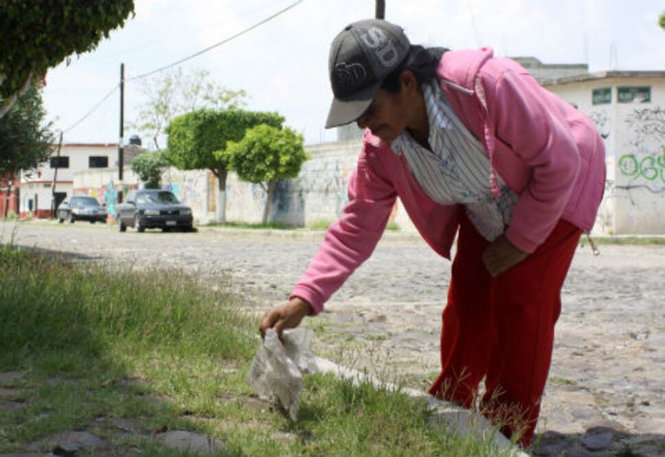 Limpian Reforma Agraria