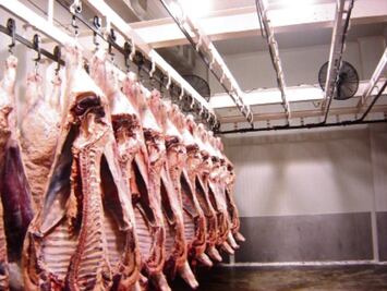 Ezequiel Montes planea rastro TIF