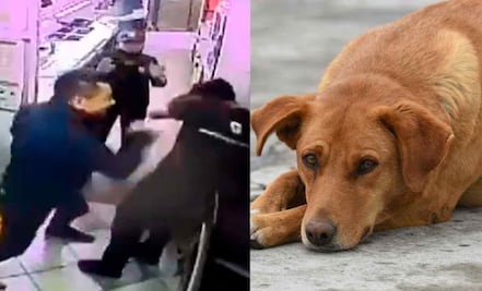 Denuncian a atacante de empleado de Subway en SLP por moler a golpes a un perro