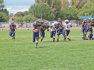 Gatos y Gigantes,  en la cima