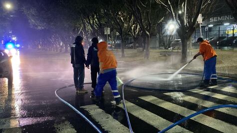Acumulación de excremento de aves en avenida Luis Vega y Monroy provocó incidentes viales