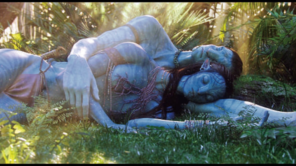 Son los reyes de la taquilla