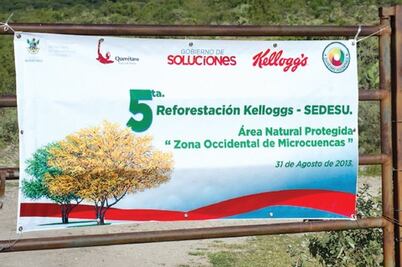 Trabaja Kellogg’s retos en sustentabilidad