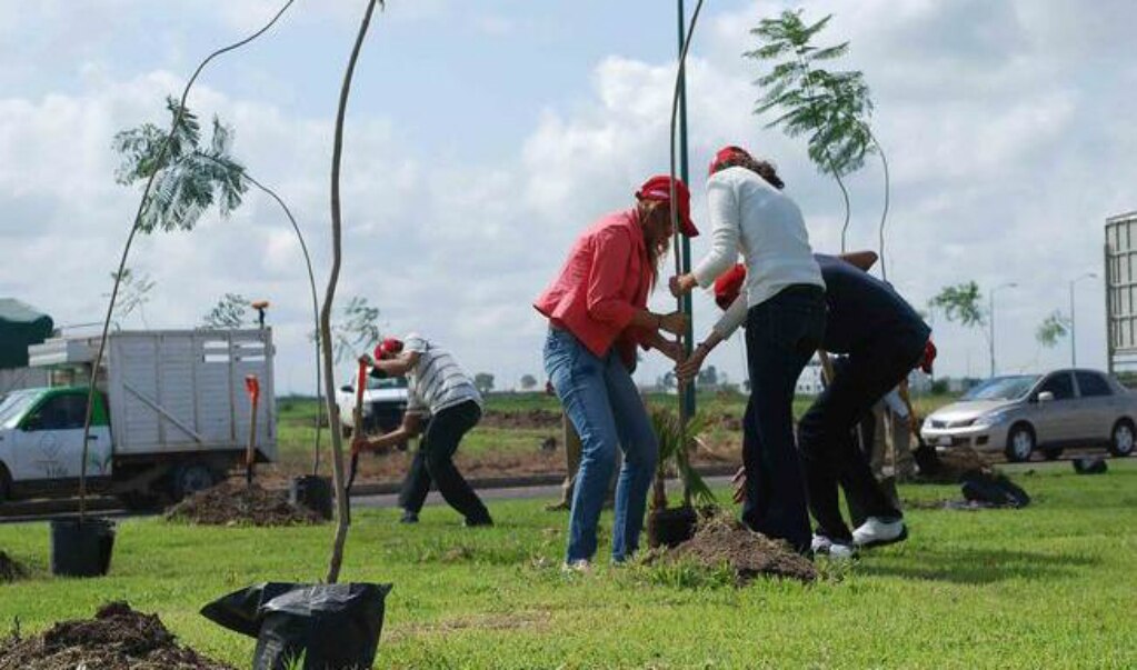 Colabora estado en gestión ambiental