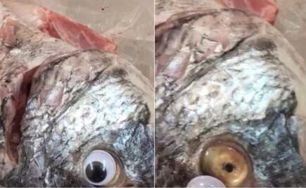 Vendían pescados con ojos falsos para hacerlos ver frescos