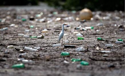 EU, el que más consume y menos recicla