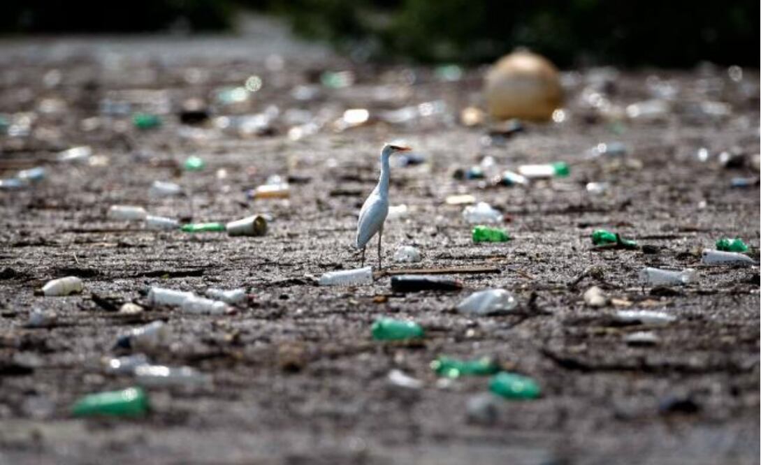 Foto: Archivo/El Universal