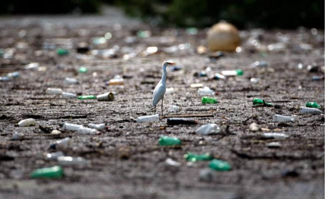 EU, el que más consume y menos recicla